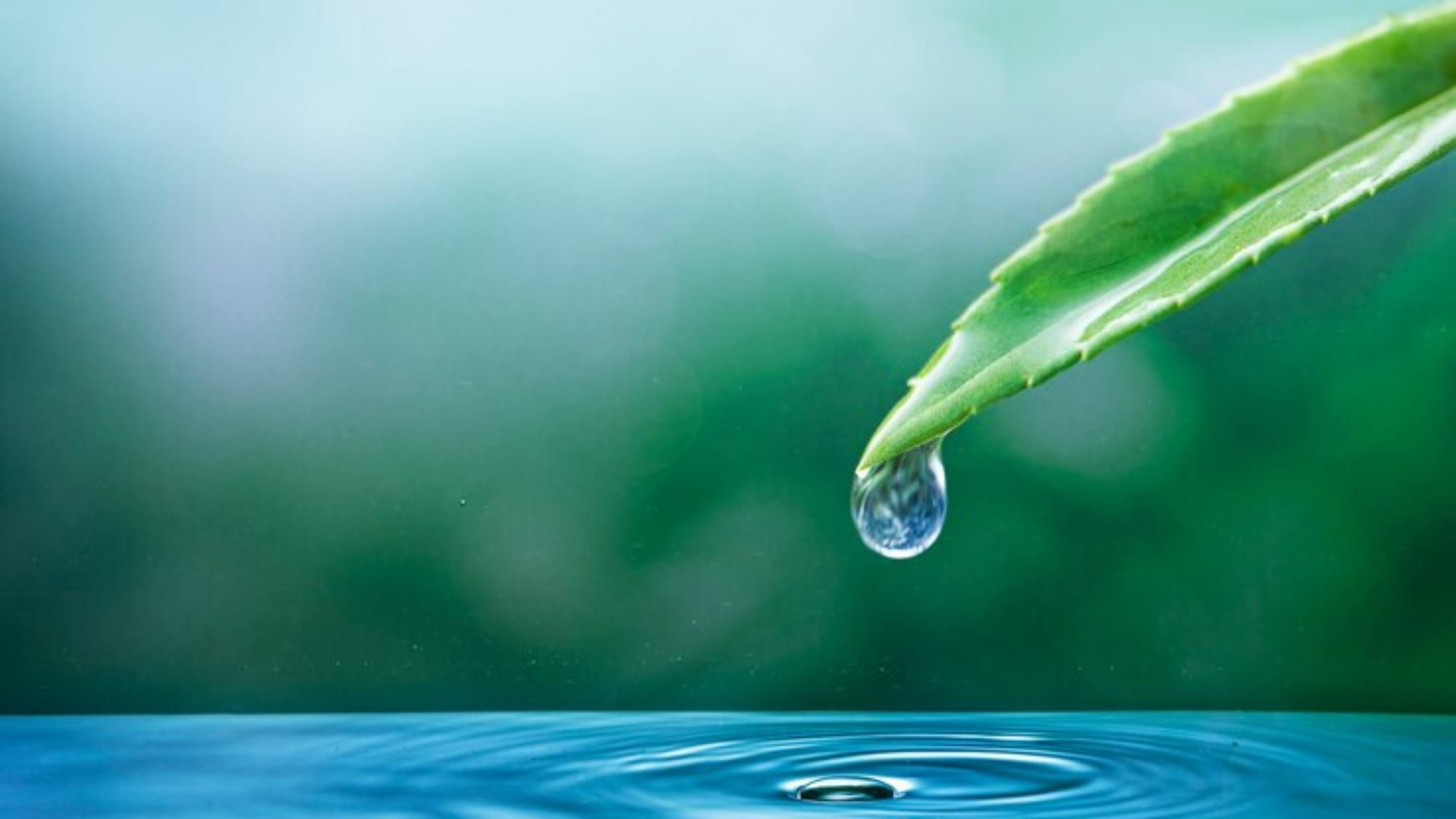 WATER